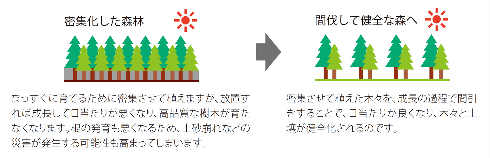 PLUS WEB CATALOG | 新環境配慮ファイル | 間伐材 フラットファイル