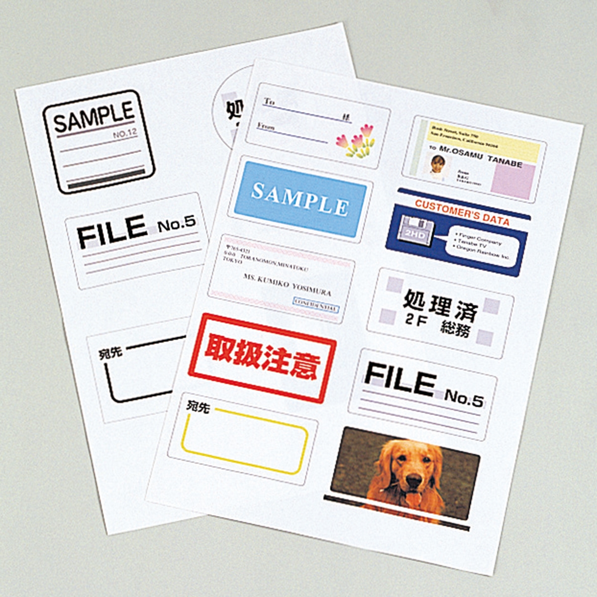 PLUS WEB CATALOG | ラベル | レーザーラベル | 45-893