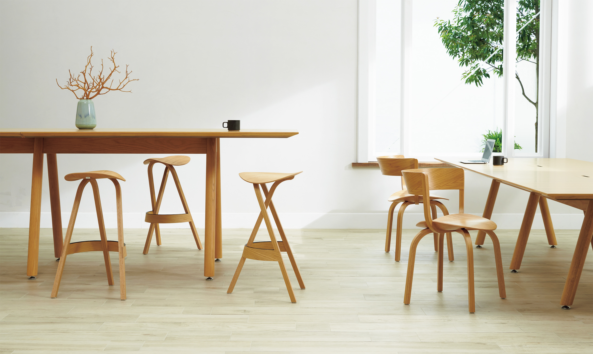 PLUS WEB CATALOG | THONET | 404F | 667-523