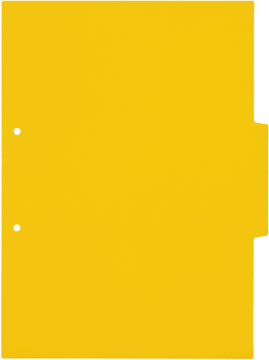 PLUS WEB CATALOG | 学校向けファイル | インデックスシート 2穴用 3山