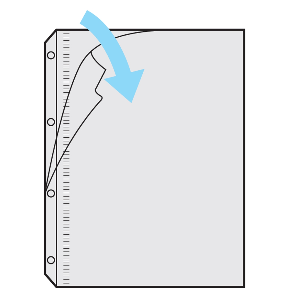 ぼんぐりページ zeitVektor 本日Point5% マグクリップボード A4サイズ ツァイト