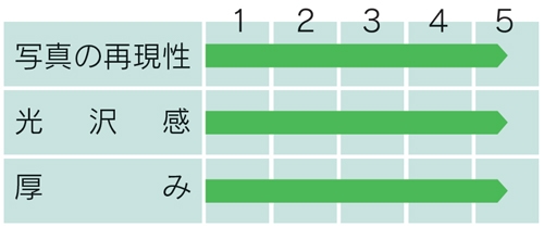 PLUS WEB CATALOG | プリンタ用紙 | インクジェットプリンター専用紙